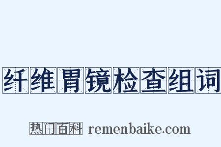 纤维胃镜检查组词是什么意思的图片